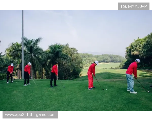 高尔夫球技术与赛事分析